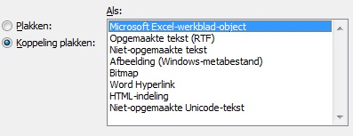 Excel in word